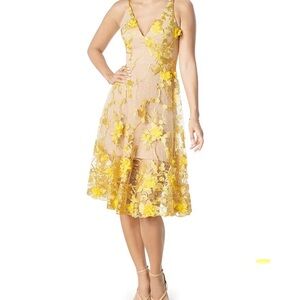 Anthropology “dress the population” Audrey dress in canary